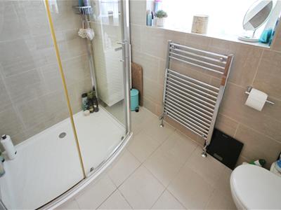 Picture 12